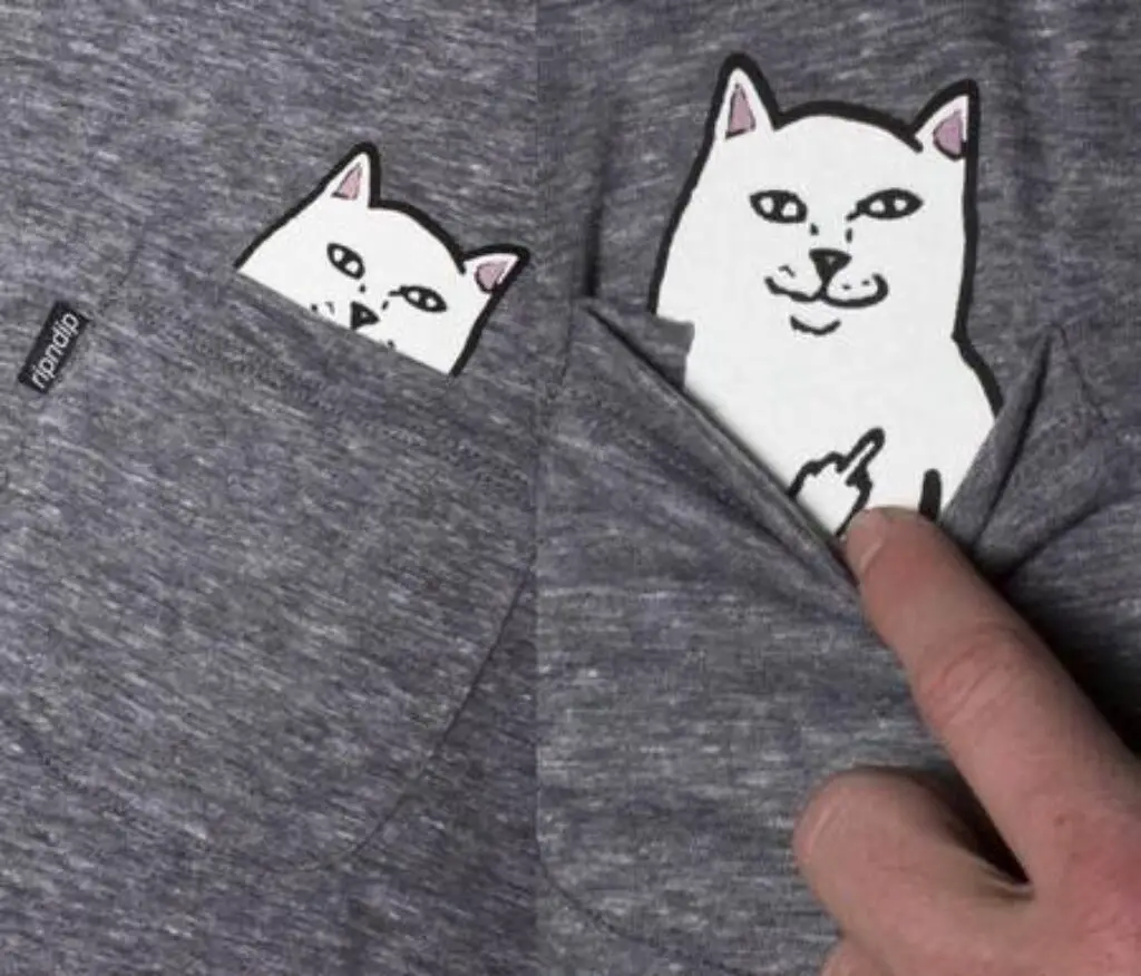 Hidden_surprise_cat_t-shirt