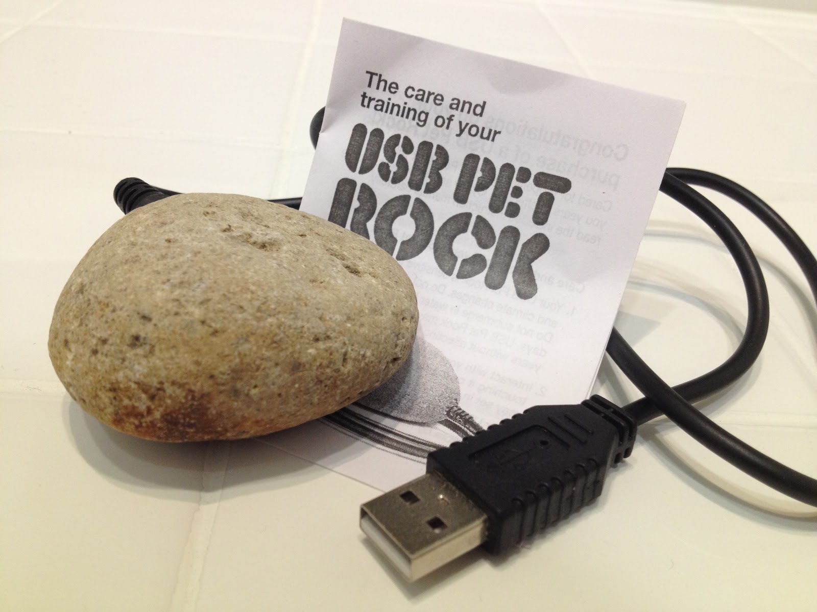 Læs Prøv det Shipley The USB Pet Rock That Does Absolutely Nothing When You Plug It In