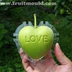 Heart Shaped Apple Fruit Mold