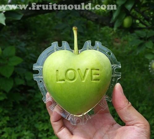 Heart Shaped Apple Fruit Mold