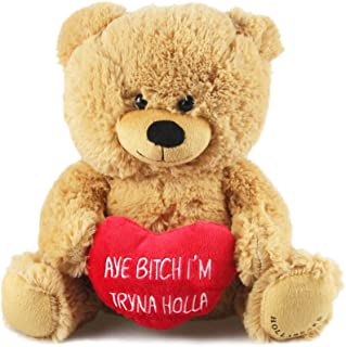 Aye Bitch I'm Tryna Holla teddy bear