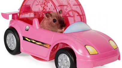 Critter Cruiser Hamster and Gerbil Car