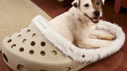 Giant Shoe Slipper Shaped Dog Bed