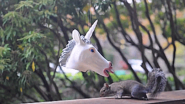 Unicorn Head Squirrel Feeder
