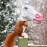 Unicorn head squirrel feeder