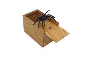 Prank Spider Box Mail Prank