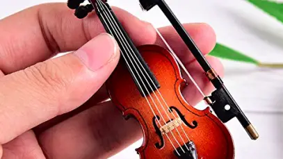 Worlds Smallest Violin Gag Gift
