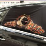 Peekapet Car Window Safety Shade For Dogs