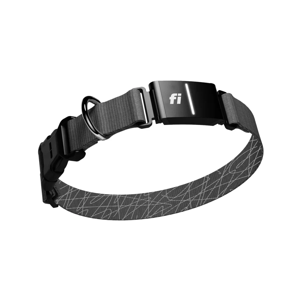 Smart dog collar with GPS tracking