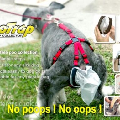 19 funny dog toys & accessories you can actually buy